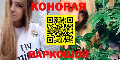 гашик Брянск