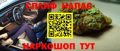 гидра Братск