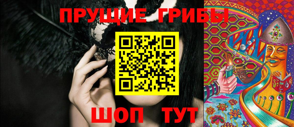 Осинники  Галлюциногенные грибы Psilocybine cubensis  Вход с VPN 