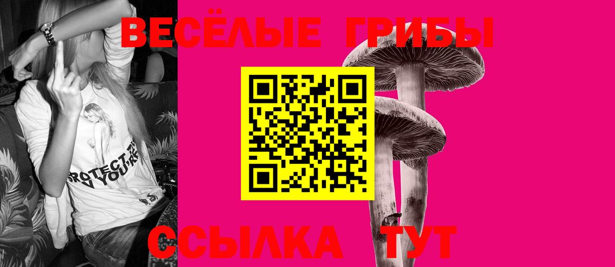 Псилоцибиновые грибы Psilocybe Осинники