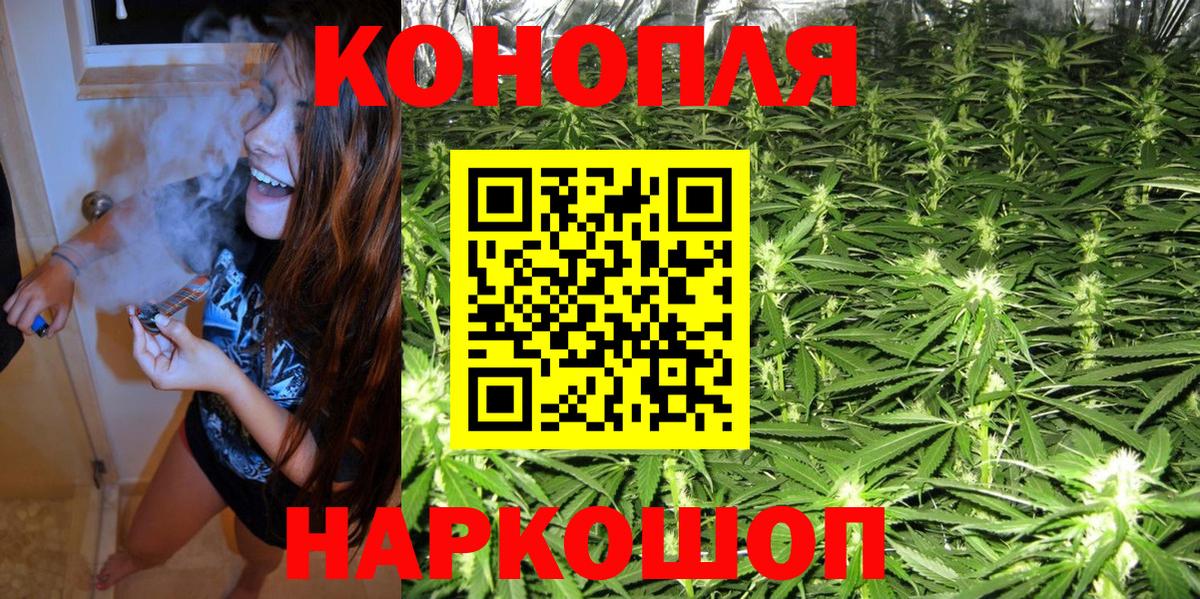 Конопля сатива  Конопля OG Kush  Осинники  Конопля Amnesia  Вход с VPN 